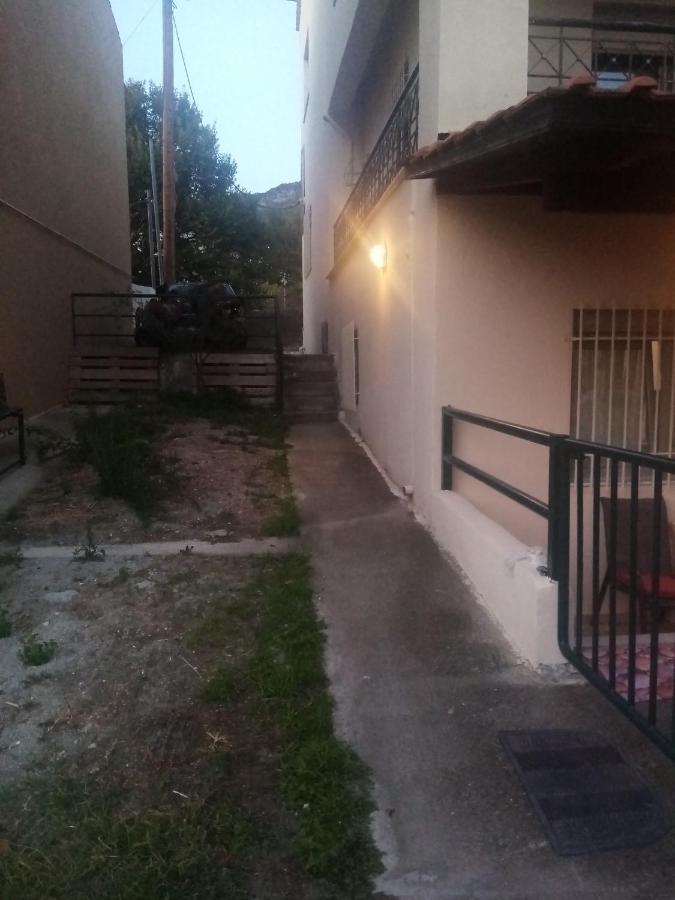 Apartment Haras'house *